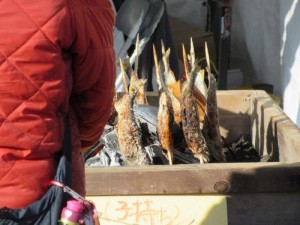 IMG_0743