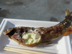 IMG_0745