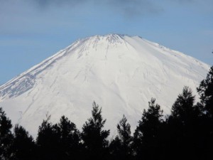 IMG_0782
