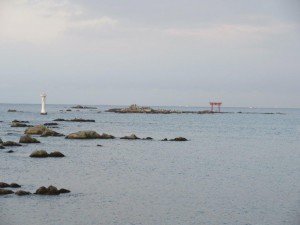 IMG_0876