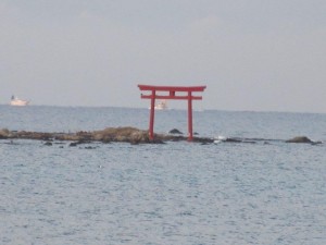 IMG_0879