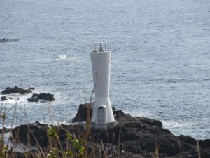IMG_0886