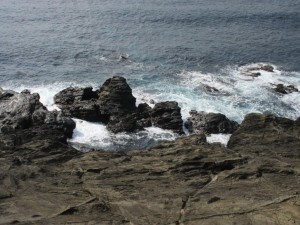 IMG_0889