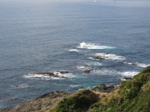 IMG_0890