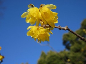 IMG_0916