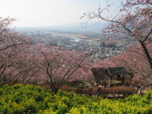 IMG_1022