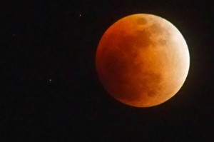 スーパーブルーブラッドムーン (4)