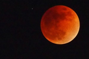 スーパーブルーブラッドムーン (6)