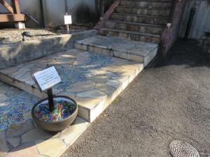 IMG_0612