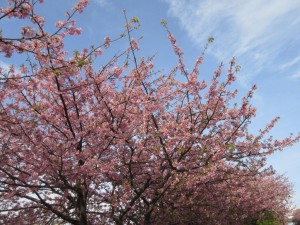 IMG_1073