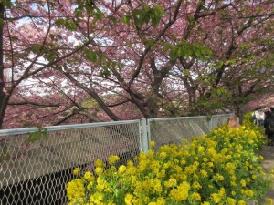 IMG_1076