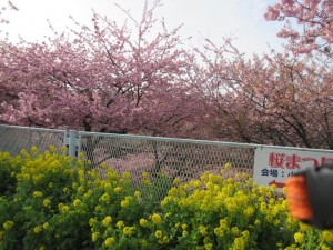 IMG_1077
