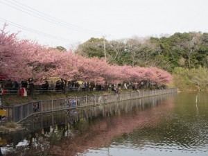 IMG_1085