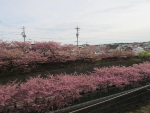 IMG_1090