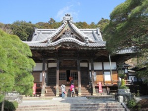 IMG_1106