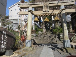 IMG_1115
