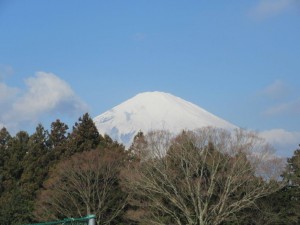 IMG_1139