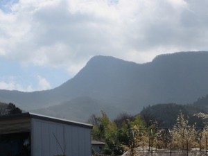 IMG_1146