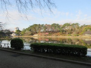 IMG_1155