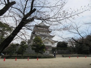 IMG_1161