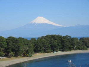 IMG_1193
