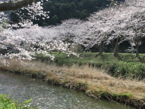 IMG_1208
