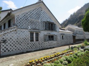 IMG_1210