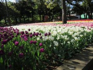 IMG_1259