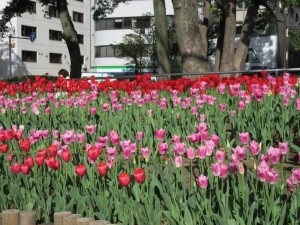 IMG_1263