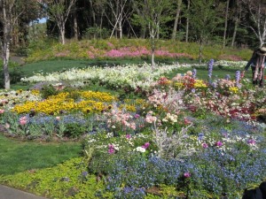 IMG_1280