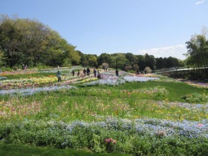 IMG_1297
