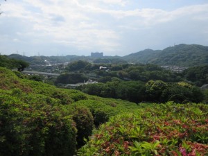 IMG_1391