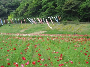 IMG_1400