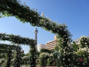 IMG_1439