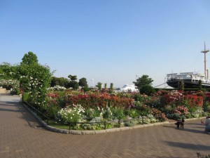 IMG_1442