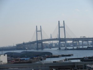 IMG_1450