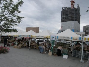 IMG_1508