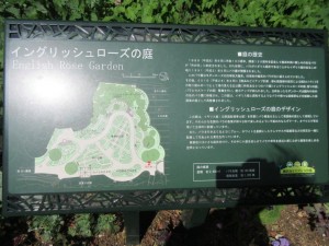 IMG_1535