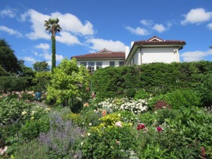 IMG_1537