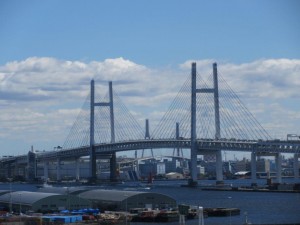 IMG_1539