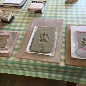 IMG_20180504_183713_628