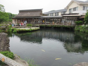 IMG_1578