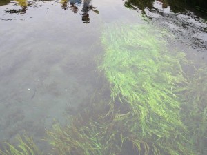 IMG_1581