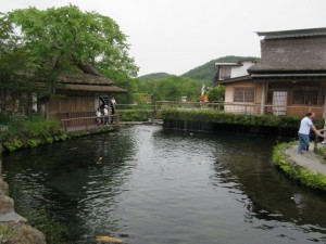 IMG_1582