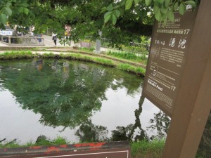 IMG_1584