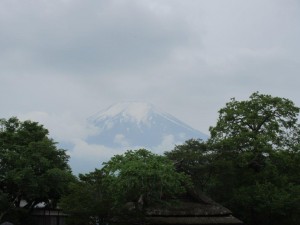 IMG_1586