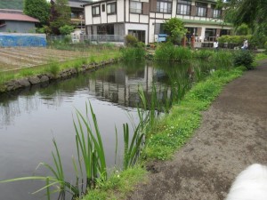 IMG_1590
