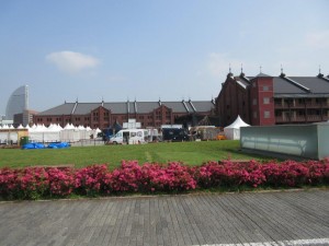 IMG_1630