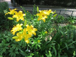 IMG_1638