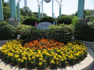 IMG_1650